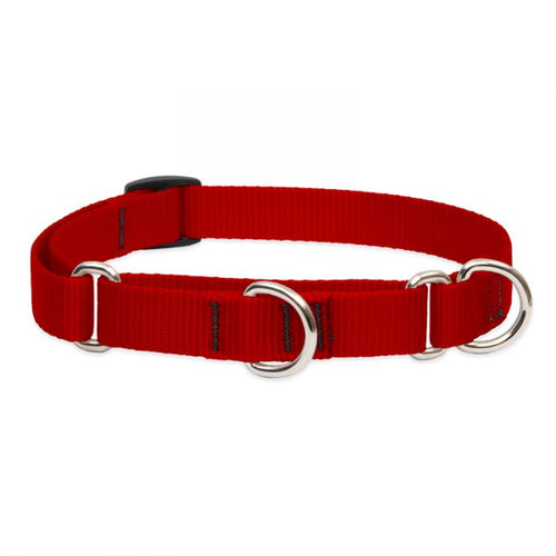 Lupine Pet Basic Solids Martingale Training Collar