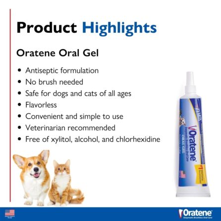 Zymox Oratene® Enzymatic Brushless Oral Gel