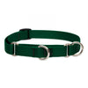 Lupine Pet Basic Solids Martingale Training Collar