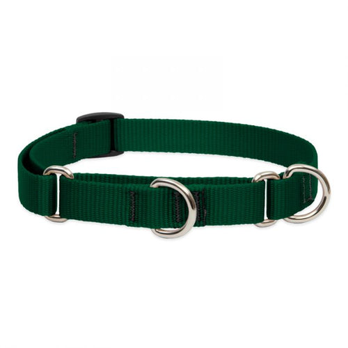 Lupine Pet Basic Solids Martingale Training Collar