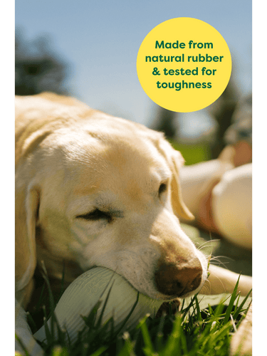 Earth Rated Rubber Dog Treat Toy