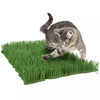 Petlinks® Instincts Meadow Mayhem™ Paper Grass Hide and Seek Cat Toy