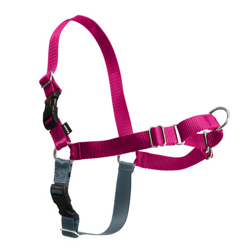 PetSafe Easy Walk Raspberry & Gray Dog Harness