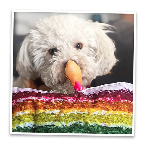 Doggijuana Get the Pawty Started Refillable Cake Slice Dog Toy