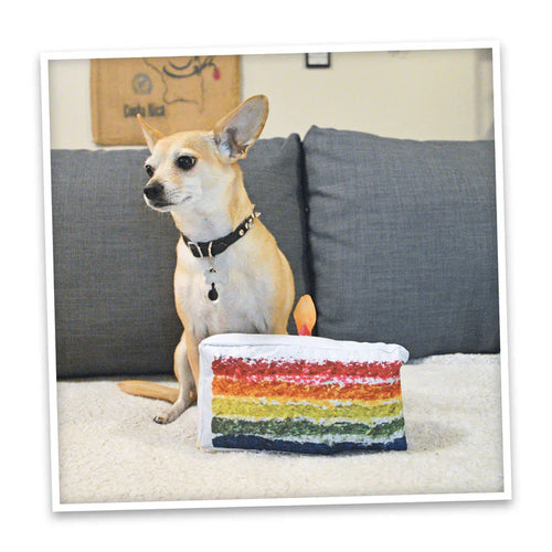 Doggijuana Get the Pawty Started Refillable Cake Slice Dog Toy