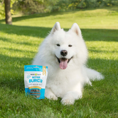 Bright Planet Pet Better Burg'r Plant-Based Dog Treats