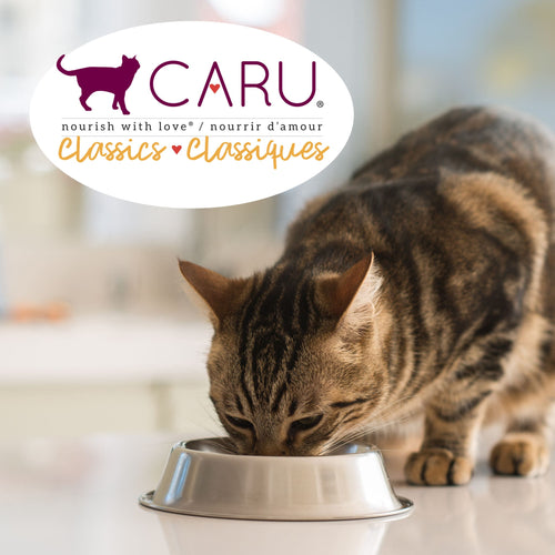 Caru Classics Chicken Stew for Cats