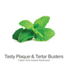 Pure and Natural Plaque & Tartar Fighting Gel for Dogs (Clean Mint) - Organic Dental Solutions