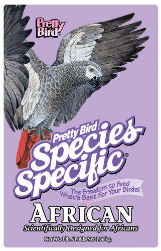 Pretty Bird Species Specific African Grey