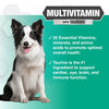 Nootie Progility Multivitamin Soft Chew Supplement For Dogs