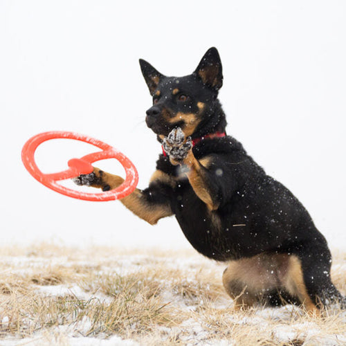 Bionic Toss-N-Tug Dog Toys