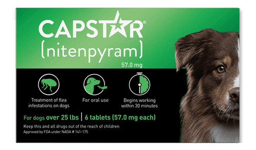 CAPSTAR® (nitenpyram) Oral Flea Treatment for Dogs