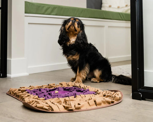 Injoya PB&J Snuffle Mat: Unleash the Fun & Satisfy Your Pet's Natural Instincts