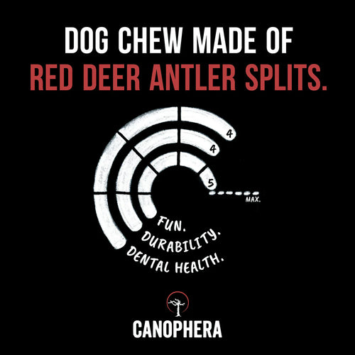 Canophera Red Deer Antlers (Splits) Dog Chews