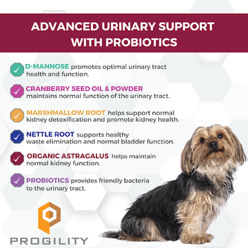 Nootie Progility Urinary Support Soft Chew Health Supplement For Dogs