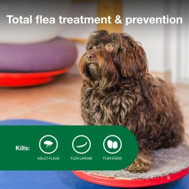 Advantage II Small Dog Vet-Recommended Flea Treatment & Prevention